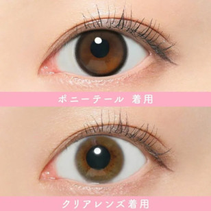 SIE 1Day – Pony Tail 日拋 每盒10片